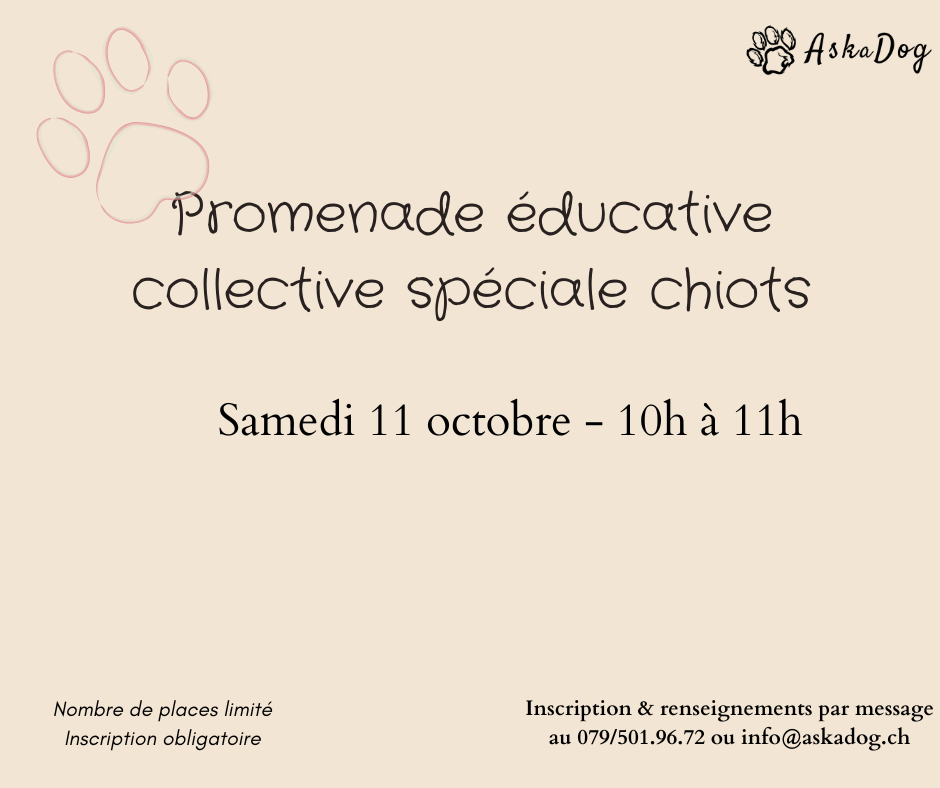 25_10_Chiots